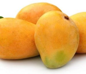 Langra Mango