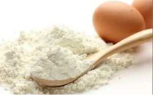 Egg Shell Powder