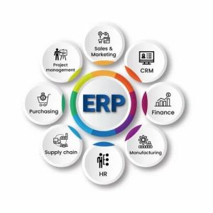 Erp Software Development Service