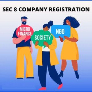 NGO Section 8 Company Registration Services