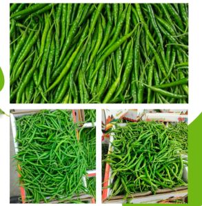 Farm Fresh Premium G4 Green Chillies