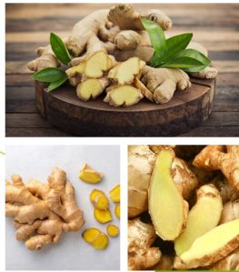 Farm Fresh Premium Ginger