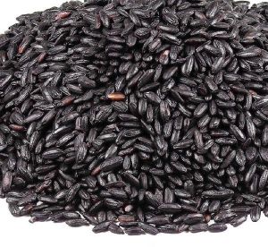 Black Rice