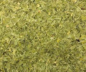 Dehydrated Coriander