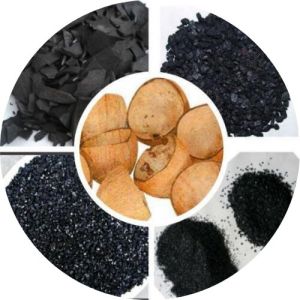 Coconut Shell Activated Carbon