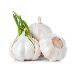 Fresh Garlic