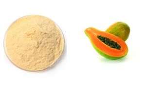 Papaya Powder