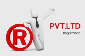 private limited company registration service