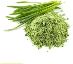 Wheat Grass Powder