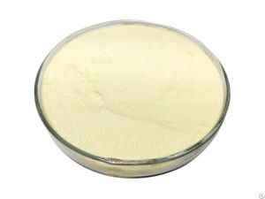 Transglutaminase Enzyme Powder