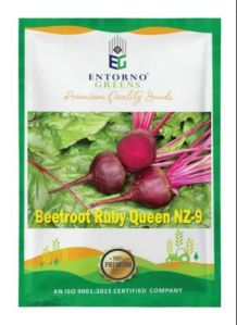 Beetroot Seed