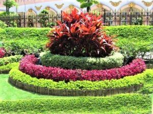 Garden Designing Service