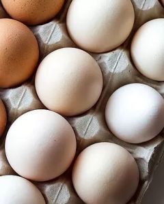 Fresh White Eggs