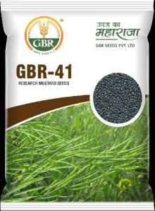 GBR-41 Mustard Seeds