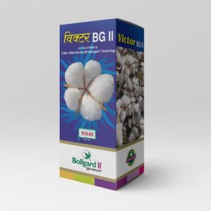 Victor BGII BT Hybrid Cotton Seeds