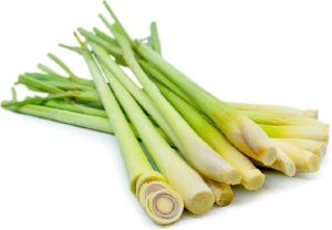 Fresh Lemon Grass