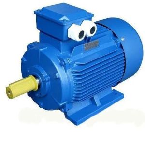 Kirloskar Electric Motor