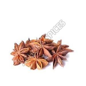 Indian Star Anise