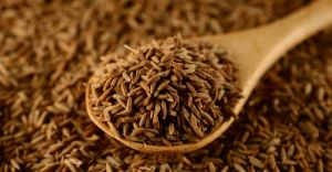 Cumin Seed