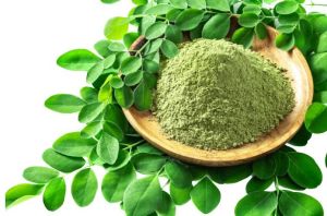 Moringa Products