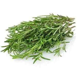 Rosemary Essential Oil