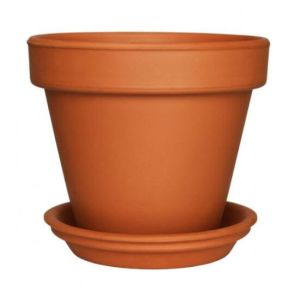 Terracotta Plant Pots