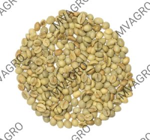 Indian Robusta Parchment Bulk