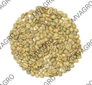 robusta cherry bulk green coffee beans