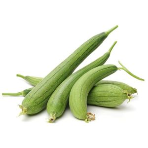 Fresh Sponge Gourd