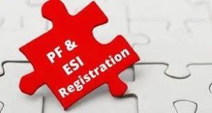 ESI & EPF Registration Service