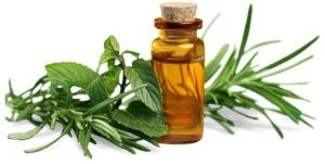 Tea Tree Essential Oil