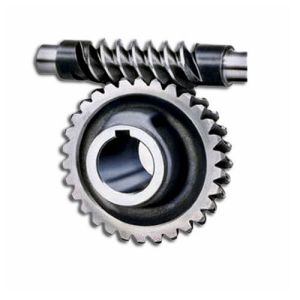 Worm Gears