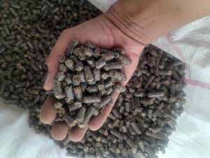 Biomass Pellet