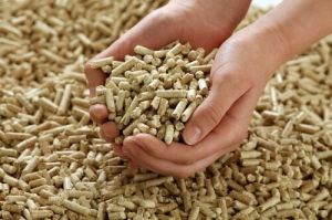 Biomass Pellet