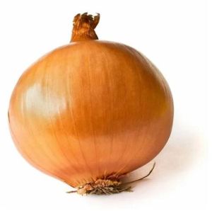 Brown Onion