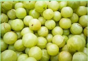 fresh green amla