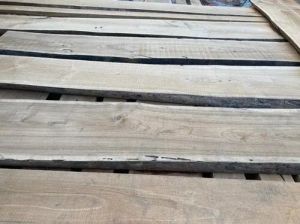 Teak Wood