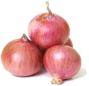 Garva Onion