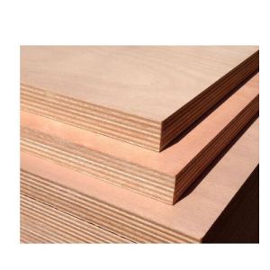 bwp plywood