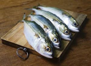 Frozen Mackerel