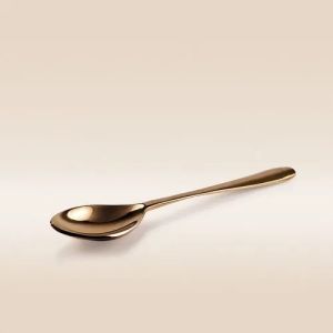 Bronze Spoon