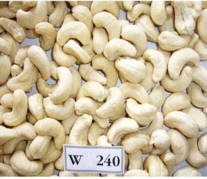 W240 Cashew Nuts