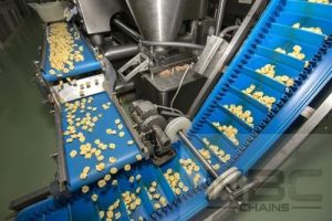 Packaging Conveyor System