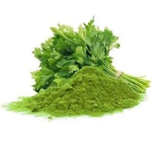 Green Coriander Powder