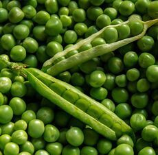 Fresh Green Peas