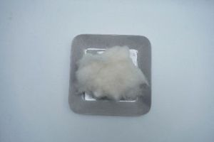 Raw Cotton