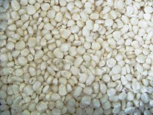 Natural White Corn Seeds