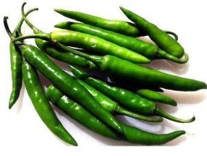 Organic Green Chilli