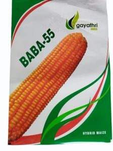 Baba 55 Hybrid Maize Seeds