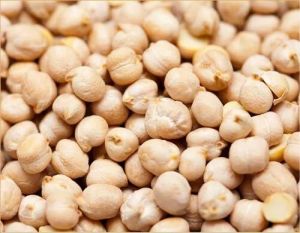 Raw Chickpeas